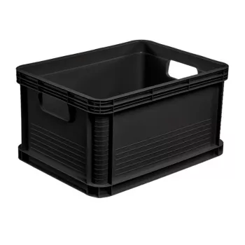KEEEPER Robert 20L Eurobehälter, 400 x 300 x 220 mm, Graphit, Tragfähigkeit 30 kg, stapelbar, lebensmittelecht