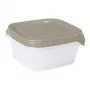 CURVER Fresh&Go 3-teiliges quadratisches Aufbewahrungsbehälter-Set 0,8L Beige
