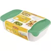 Curver Fresh & Go Aufbewahrungsboxen-Set, 3 rechteckige Behälter, 2L + 1L + 0,5L, transparent mit farbigen luftdichten Deckeln