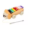 LEAN TOYS Löwe Becken auf Rädern Nachzieh-Musikspielzeug für Kleinkinder, buntes Lerninstrument