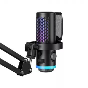 BOYA CastMic G40Bz Gaming-Mikrofon mit Arm, kabelgebunden USB-C - schwarz