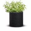 KETER 29197833939 Zylinder-Pflanzgefäß Grau 12L Langlebiger Blumentopf aus Harz mit Drainage