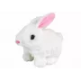 LEAN TOYS Laufender Hase Interaktives Spielzeug Kurzhaar Weiß
