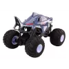 LEAN TOYS Großes ferngesteuertes Off-Road-Auto 2,4G RC 1:6 Shark