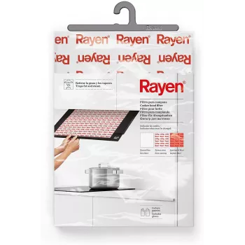 RAYEN Filter für Dunstabzugshaube mit Indikator 57x47cm