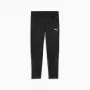 Herrenhose Puma Team Goal Training schwarz 658639 03 S