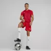 Herren T-Shirt Puma teamULTIMATE rot 705371 01 M