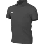 Nike Park 26 Polo Kinder grau IB1195 071 S