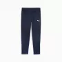 Puma Team Goal Training Herrenhose navy 658639 06 M