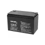 VIPOW Gel-Batterie 12V 100Ah