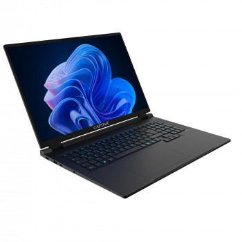 Captiva Entry Gaming I10-4429GE 18 Zoll QHD+ Gaming Laptop - Intel Core i7-14650HX, GeForce RTX 5060 8GB, 32GB RAM, 2TB SSD, Windows 11 Pro