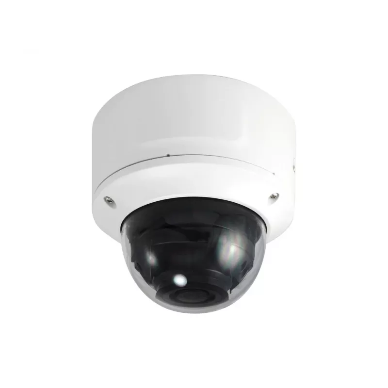 LevelOne FCS-4203 2MP Outdoor Dome IP-Überwachungskamera mit H.265, PoE und Audio