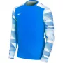 Nike Dry Park IV JSY LS GK Junior Torwart Sweatshirt Royal Blue CJ6072 463 XL