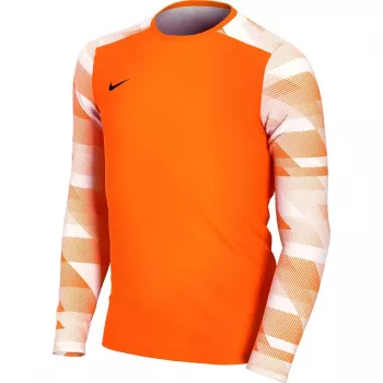 Nike Dry Park IV JSY LS GK Junior Torwart Sweatshirt Orange CJ6072 819 S