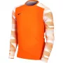 Nike Dry Park IV JSY LS GK Junior Torwart Sweatshirt Orange CJ6072 819 S