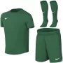 Nike Dri-FIT Park VIII Kleinkind Sportset Grün HV8260 302 Größe S