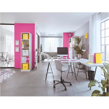 LEITZ 4469 Sammelmappe mit Druckknopfverschluss, verschiedene Farben, DIN A4, Polypropylen 4469-00-99
