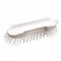 HAUG BÜRSTEN 8830 Reinigungsbürste, Weiß/Transparent, Polypropylen-Körper, Polyester-Borsten, mittlere Härte, autoklavierbar, für Lebensmittelkontakt zugelassen