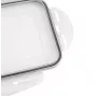 APS Eiswürfelbox mit Deckel, Transparent/Grau, 2er-Set, Polypropylen, spülmaschinenfest 36103