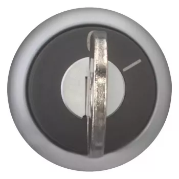 Eaton M22-WRS-A1 Schlüsselschalter, 2-Positionen, Rastend, Schwarzer Betätiger, Silberner Titan-Frontring, 22,5 mm Montage, IP66/IP67/IP69K 229092