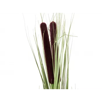 EUROPALMS Künstliches Schilfgras mit Kolben, Hellgrün, 152cm 82505855