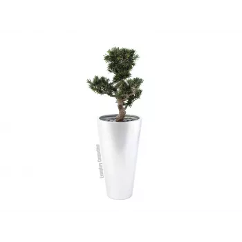 EUROPALMS Leichtsin Elegance-69 Silber Glänzende Dekorationsfigur 83011856