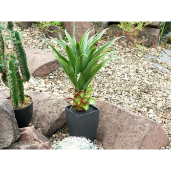 EUROPALMS Agave im Topf, Kunstpflanze, 75cm 82600160