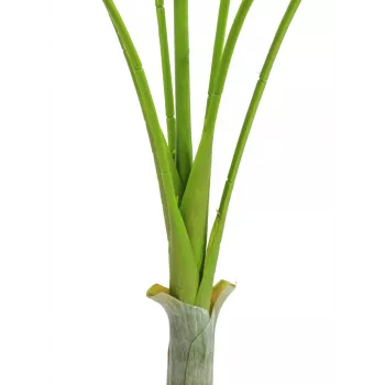 EUROPALMS Areca deluxe Kunstpflanze, 180cm 82509443