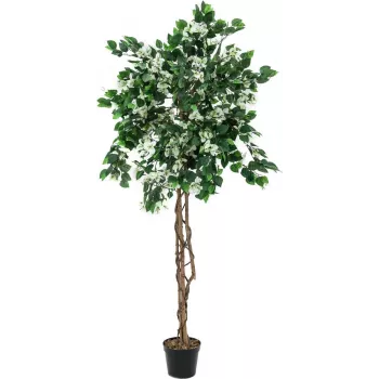 EUROPALMS Bougainvillea Kunstpflanze, Weiß, 150cm 82507085