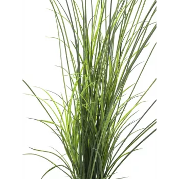 EUROPALMS Künstliches Schilfgras, 145cm, Grün/Braun, Vorgetopft 82600229