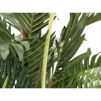 EUROPALMS Kentia-Palme Kunstpflanze 180cm 82511367