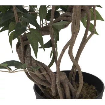 EUROPALMS Ficus Multi Spiral Trunk Kunstpflanze, 130cm 82806314