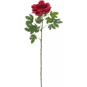 EUROPALMS Classic Peony Branch Künstliche Pflanze, Magenta, 80cm 82530211