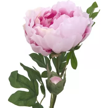 EUROPALMS Peony Branch Classic, Kunstpflanze, Rosa, 80cm 82530210