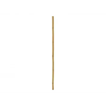EUROPALMS Bambus-Stange, Ø 5 cm, 200 cm 83313201