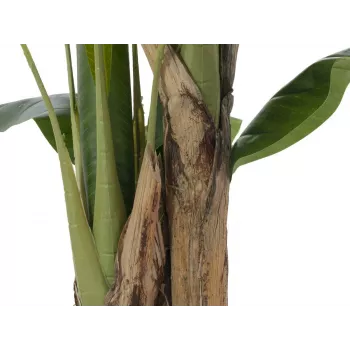 EUROPALMS Künstlicher Bananenbaum, 120cm, realistische grüne Blätter, schwarzer Topf 82509537