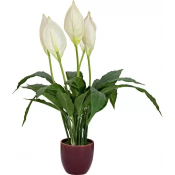 EUROPALMS Künstliche Friedenslilie, 60 cm 82505660