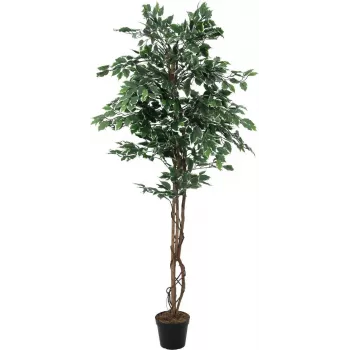 EUROPALMS Silberficus Benjamina Kunstpflanze, 180 cm 82506116
