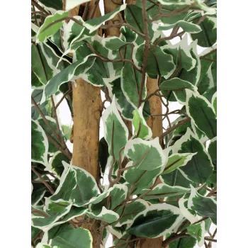 EUROPALMS Silberficus Benjamina Kunstpflanze, 180 cm 82506116