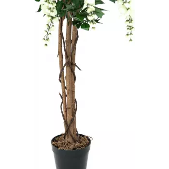 EUROPALMS Goldregen Künstliche Pflanze, Weiß, 150cm (82507105)