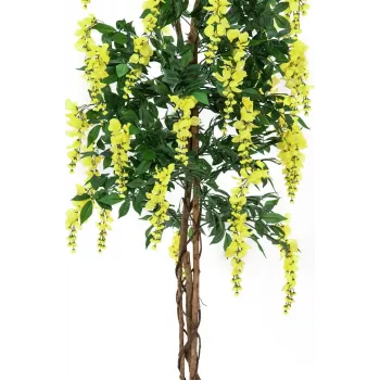 EUROPALMS Goldregen Künstliche Pflanze, Gelb, 150cm 82507115