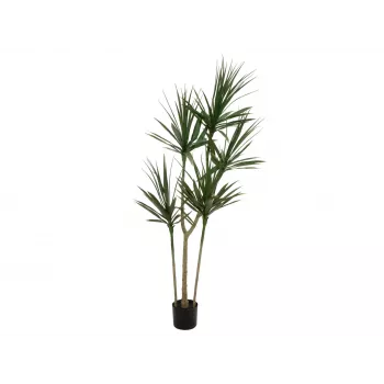 EUROPALMS Dracena Kunstpflanze, Grün, 170 cm 82505799