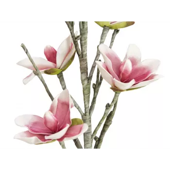 EUROPALMS Künstlicher Magnolienzweig (EVA), Weiß-Pink 82530587