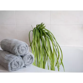 EUROPALMS Künstliches Seegras (EVA), Grün 82531062