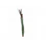 EUROPALMS Künstliches Schilfgras mit Kolben, Dunkelgrün, 152cm 82505854