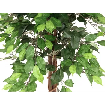 EUROPALMS Ficus Benjamina mehrstämmige Kunstpflanze, 150cm 82506125