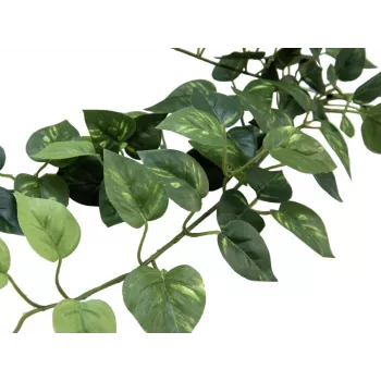 EUROPALMS Pothos Buschhecke Classic, künstlich, 70cm (82502201)