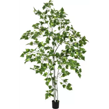 EUROPALMS Birkenbaum Künstliche Pflanze 180cm 82505231