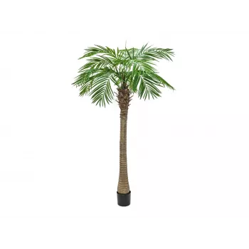 EUROPALMS Phoenix Palm Luxor Kunstpflanze, 210cm 82510721
