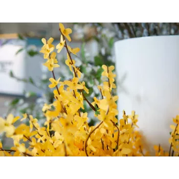 EUROPALMS Künstlicher Forsythienstrauch, 60cm 82505629